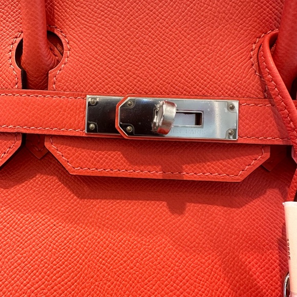 Authentic Brand New In Box 30cm Rose Jaipur in Epsom - Picture 4 of 5